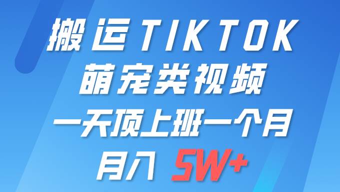 （9931期）一键搬运TIKTOK萌宠类视频 一部手机即可操作 所有平台均可发布 轻松月入5W+-悟空知识星球