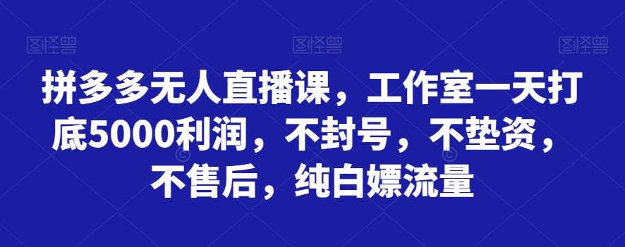 拼多多无人直播课，工作室一天打底5000利润，不封号，不垫资，不售后，纯白嫖流量-悟空知识星球