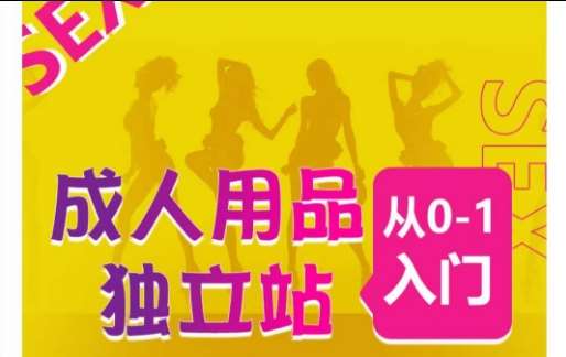 成人用品独立站从0-1入门，成品独立站运营全流程教学，七大好卖成品独立站推荐-悟空知识星球