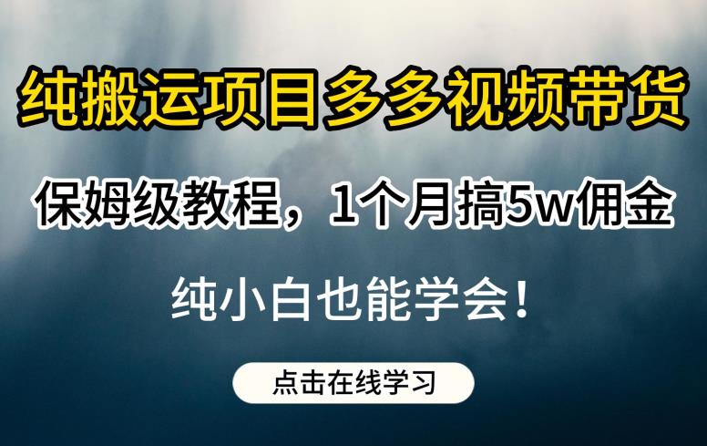 纯搬运项目多多视频带货保姆级教程，1个月搞5w佣金，纯小白也能学会【揭秘】-悟空知识星球