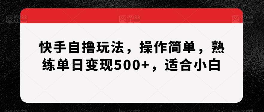 快手自撸玩法,操作简单,熟练单日变现500+,适合小白【揭秘】-悟空知识星球