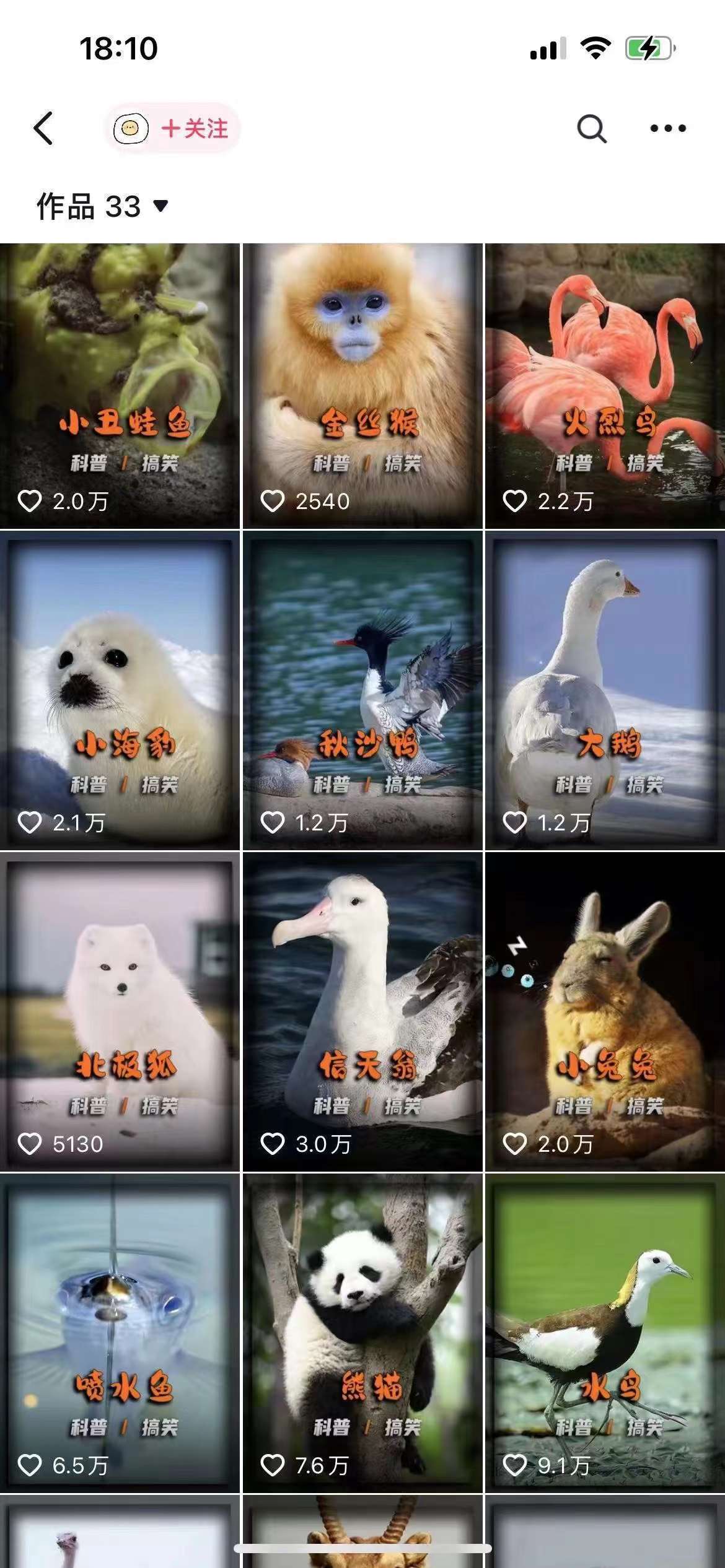 图片[2]-动物科普解说项目，撸创作者伙伴计划收益，保姆级实战教程-悟空知识星球