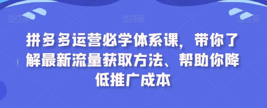 拼多多运营必学体系课，带你了解最新流量获取方法、帮助你降低推广成本-悟空知识星球