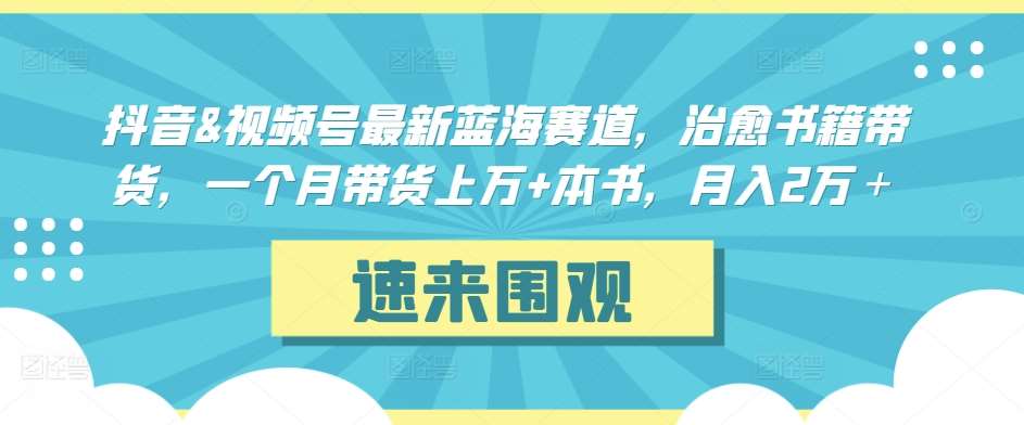 抖音&视频号最新蓝海赛道,治愈书籍带货,一个月带货上万+本书,月入2万+【揭秘】-悟空知识星球