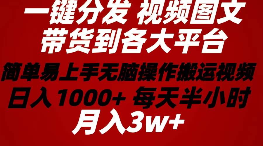 （10667期）2024年 一键分发带货图文视频  简单易上手 无脑赚收益 每天半小时日入1…-悟空知识星球