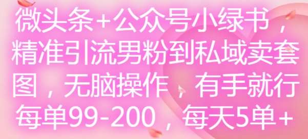 微头条+公众号小绿书,精准引流男粉到私域卖套图,无脑操作,有手就行,每单99-200,每天5单-悟空知识星球