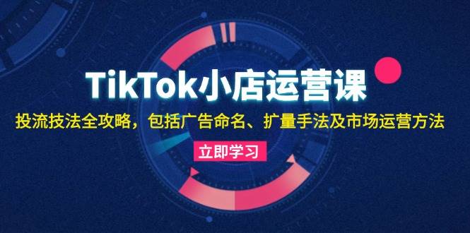 （13063期）TikTok小店运营课：投流技法全攻略，包括广告命名 扩量手法及市场运营方法-悟空知识星球