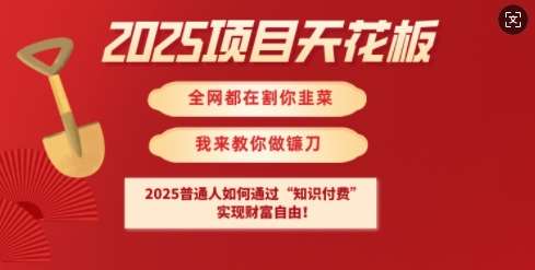 2025项目天花板普通人如何通过知识付费，实现财F自由【揭秘】-悟空知识星球