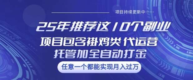 25年推荐这10个副业项目包含褂鸡类、代运营托管类、全自动打金类【揭秘】-悟空知识星球