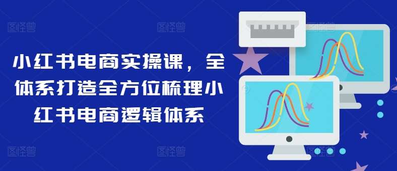 小红书电商实操课,全体系打造全方位梳理小红书电商逻辑体系-悟空知识星球