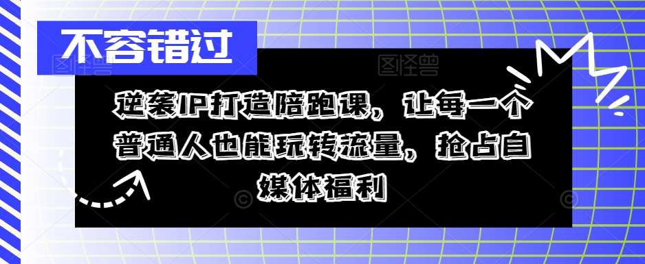 逆袭IP打造陪跑课，让每一个普通人也能玩转流量，抢占自媒体福利-悟空知识星球