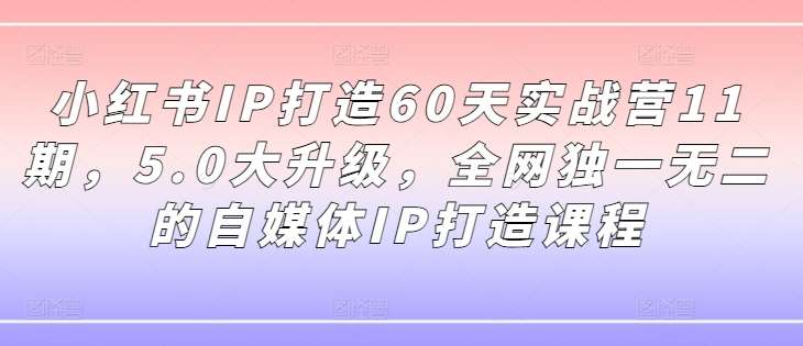 小红书IP打造60天实战营11期，5.0大升级，全网独一无二的自媒体IP打造课程-悟空知识星球