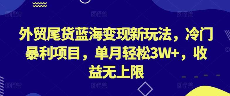 外贸尾货蓝海变现新玩法，冷门暴利项目，单月轻松3W+，收益无上限【揭秘】-悟空知识星球