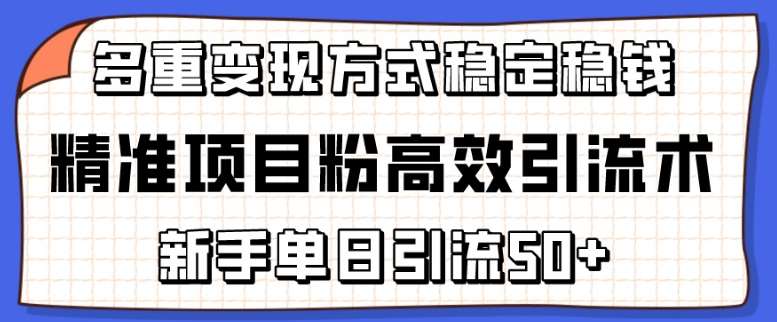 精准项目粉高效引流术，新手单日引流50+，多重变现方式稳定赚钱【揭秘】-悟空知识星球