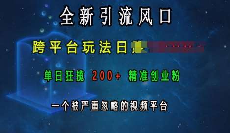 全新引流风口,跨平台玩法日入上k,单日狂揽200+精准创业粉,一个被严重忽略的视频平台-悟空知识星球