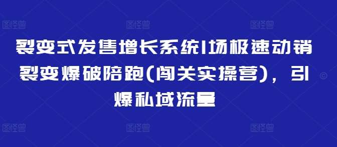 裂变式发售增长系统1场极速动销裂变爆破陪跑(闯关实操营)，引爆私域流量-悟空知识星球
