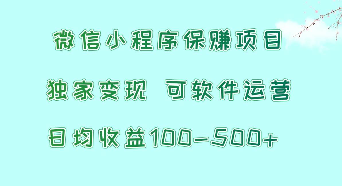 微信小程序保赚项目，日均收益100~500+，独家变现，可软件运营-悟空知识星球