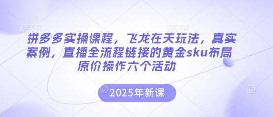 拼多多实操课程，飞龙在天玩法，真实案例，直播全流程链接的黄金sku布局原价操作六个活动-悟空知识星球