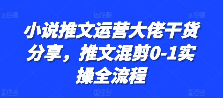 小说推文运营大佬干货分享，推文混剪0-1实操全流程-悟空知识星球