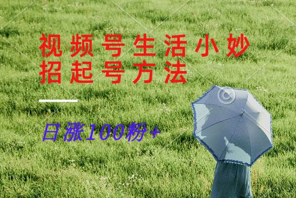视频号生活小妙招分享赛道， 起号涨粉新方法，日涨100粉-悟空知识星球