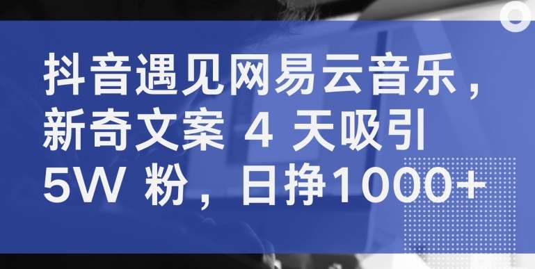 抖音遇见网易云音乐，新奇文案 4 天吸引 5W 粉，日挣1000+【揭秘】-悟空知识星球