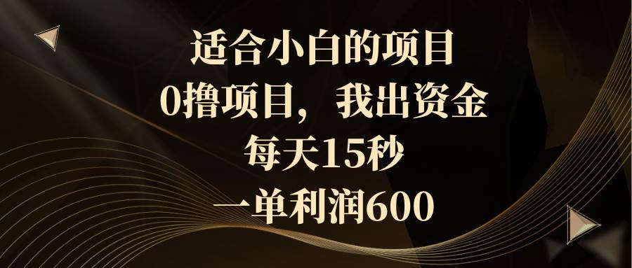 （8571期）适合小白的项目，0撸项目，我出资金，每天15秒，一单利润600-悟空知识星球