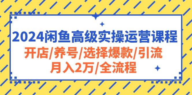 （10711期）2024闲鱼高级实操运营课程：开店/养号/选择爆款/引流/月入2万/全流程-悟空知识星球
