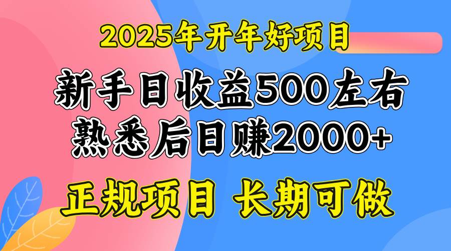 （14076期）2025开年好项目，单号日收益2000左右-悟空知识星球