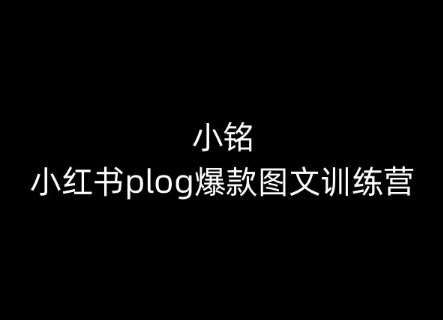 小铭-小红书plog爆款图文训练营，教你从0-1做小红书-悟空知识星球