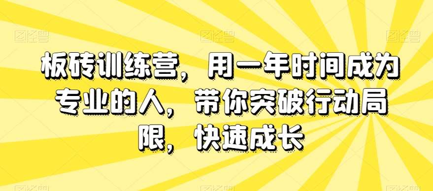 板砖训练营，用一年时间成为专业的人，带你突破行动局限，快速成长-悟空知识星球
