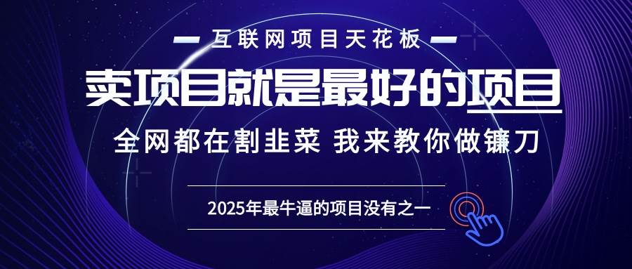 （13662期）2025年普通人如何通过“知识付费”卖项目年入“百万”镰刀训练营超级IP…-悟空知识星球