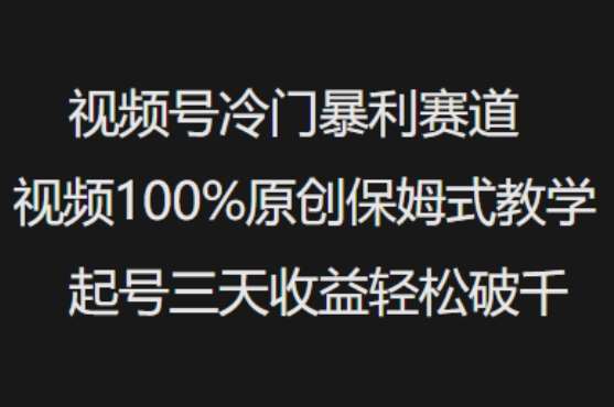 视频号冷门暴利赛道视频100%原创保姆式教学起号三天收益轻松破千-悟空知识星球