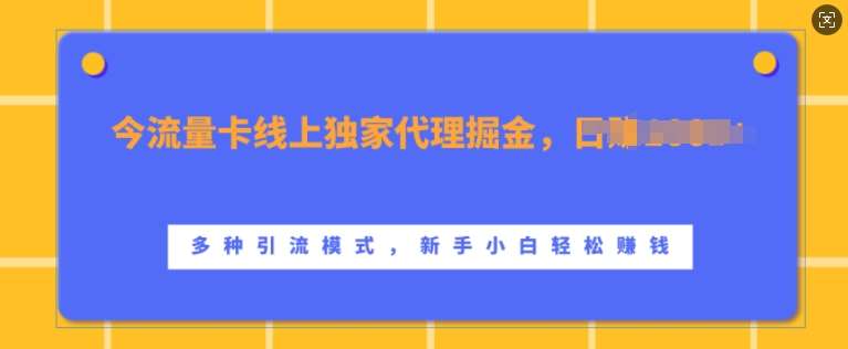 流量卡线上独家代理掘金，日入1k+ ，多种引流模式，新手小白轻松上手【揭秘】-悟空知识星球