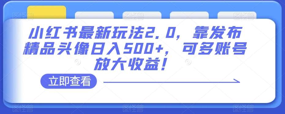 小红书最新玩法2.0,靠发布精品头像日入500+,可多账号放大收益!【揭秘】-悟空知识星球