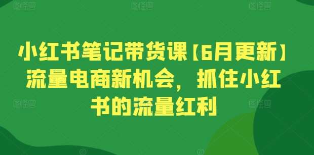 小红书笔记带货课【6月更新】流量电商新机会，抓住小红书的流量红利-悟空知识星球