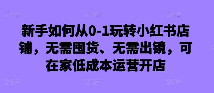 新手如何从0-1玩转小红书店铺,无需囤货、无需出镜,可在家低成本运营开店-悟空知识星球