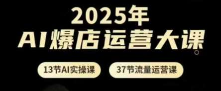 2025年AI爆店运营大课，13节AI实操课+37节流量运营课-悟空知识星球