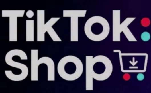 TikTokShop跨境电商0-1实战，手把手教你低成本启动海外市场-悟空知识星球
