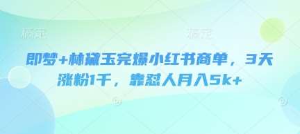 即梦+林黛玉完爆小红书商单，3天涨粉1千，靠怼人月入5k+-悟空知识星球