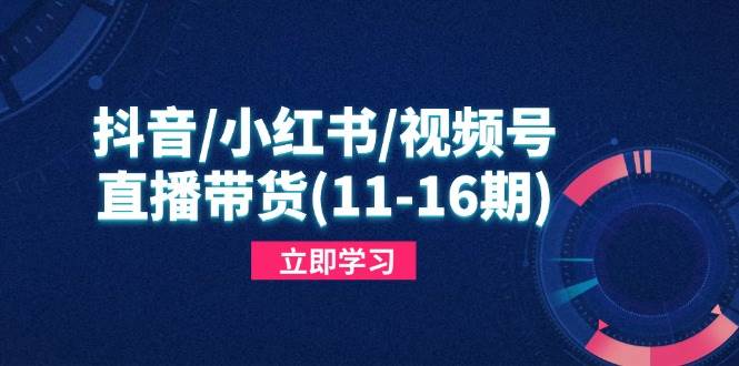 （14611期）抖音/小红书/视频号/直播带货(11-16期)，快速掌握平台规则，打造爆款内容-悟空知识星球