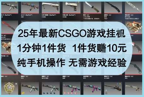 25年最新CSGO游戏挂G，1分钟1件货，1件货挣10元，纯手机操作，无需游戏经验【揭秘】-悟空知识星球