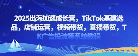 2025出海加速成长营，TikTok基建选品，店铺运营，视频带货，直播带货，TK广告投流等系统教程-悟空知识星球