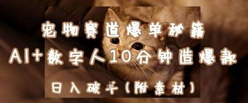 宠物赛道爆单秘籍:AI+数字人10分钟造爆款,日入1k-悟空知识星球