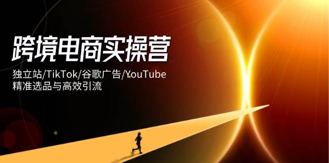 （14419期）跨境电商实操营：独立站/TikTok/谷歌广告/YouTube，精准选品与高效引流-悟空知识星球