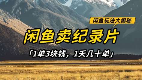 闲鱼卖纪录片1单3块钱，1天几十单，项目稳定有潜力-悟空知识星球
