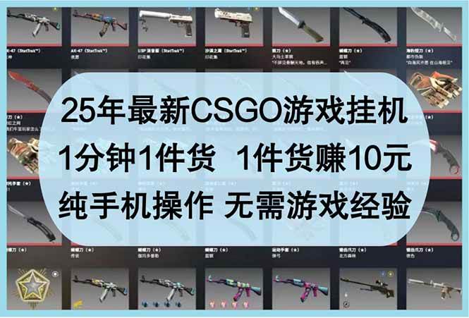 （14439期）25年最新CSGO游戏挂机，1分钟1件货，1件货赚10元 纯手机操作 无需游戏经验-悟空知识星球