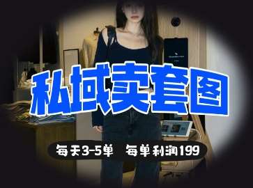 私域卖套图每天3-5单，每单利润99-悟空知识星球