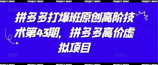 拼多多打爆班原创高阶技术第43期，拼多多高价虚拟项目-悟空知识星球