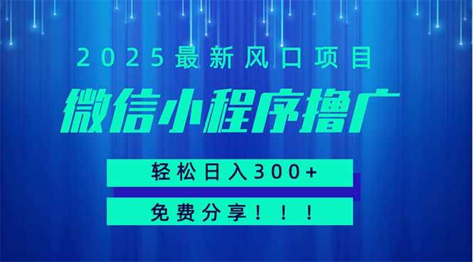 （14375期）微信小程序撸广，最新风口项目，日入300+ 免费分享 可批量操作 小白可…-悟空知识星球