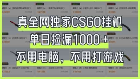 真全网独家CSGO挂G，单日捡漏1k+【揭秘】-悟空知识星球